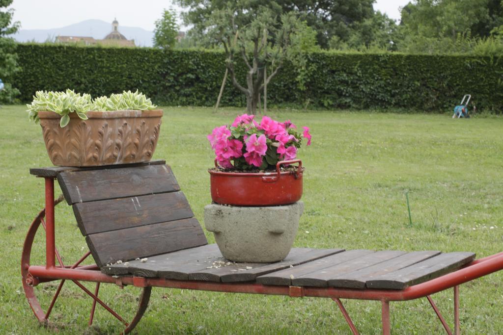 Rustico Del Chiasso